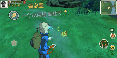 小森生活金鸡位置1