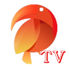 鹦鹉直播tv