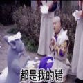 都是我的错是我无能没哄好你啊表情包图片