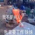 台风下的上海社畜表情包图片